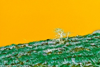 L 012B